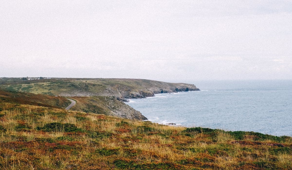 Best snacks to keep energy up on long walks